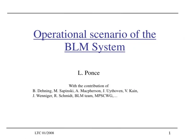 Operational scenario of the BLM System