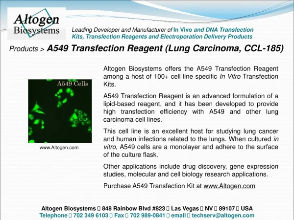 Products &gt; A549 Transfection Reagent (Lung Carcinoma, CCL-185)