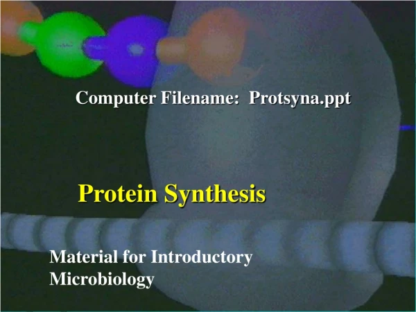 Protein Synthesis