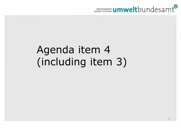 Agenda item 4 (including item 3)