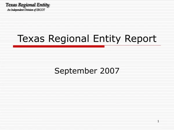 Texas Regional Entity Report