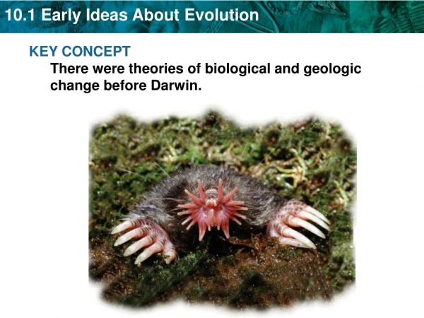 KEY CONCEPT There were theories of biological and geologic change before Darwin.
