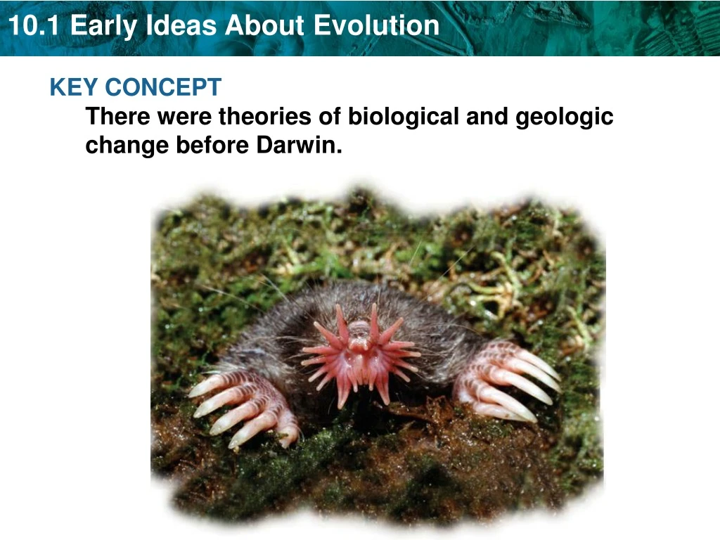 10 1 early ideas about evolution