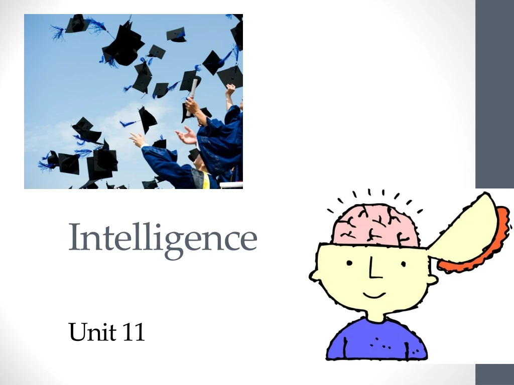 intelligence unit 11