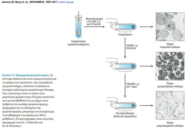 Jeremy M. Berg et. al., ΒΙΟΧΗΜΕΙΑ , ΠΕΚ 20 1 7, cup.gr