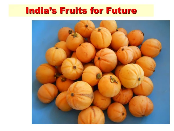 India’s Fruits for Future