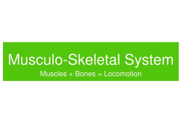 Musculo-Skeletal System