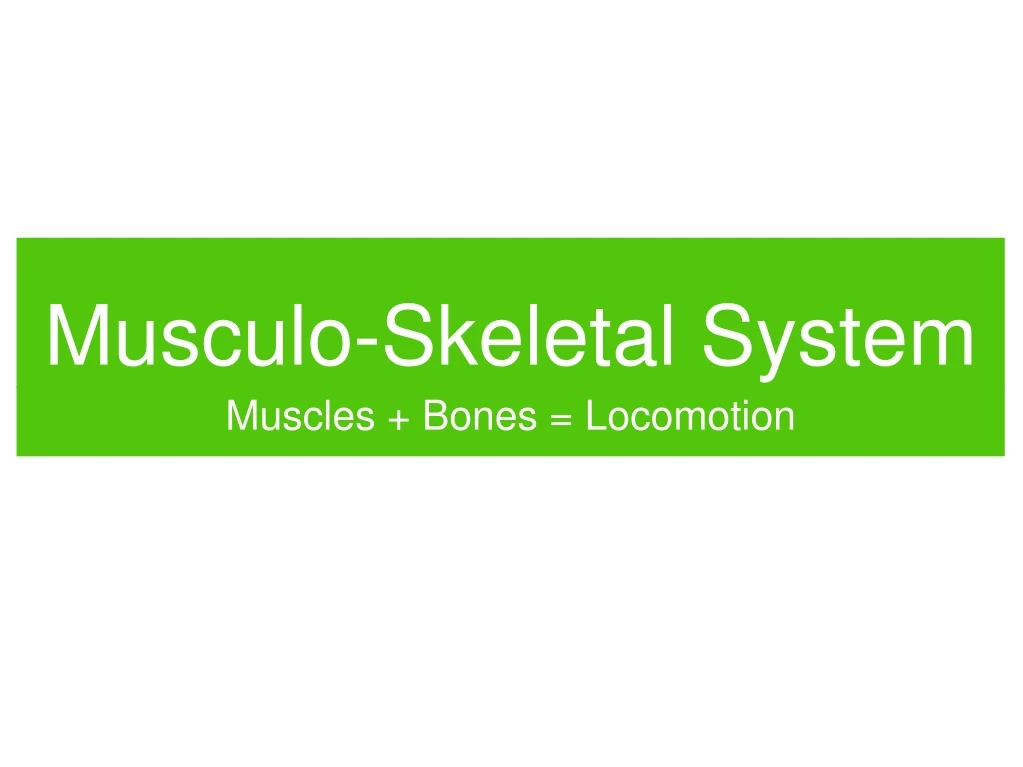 musculo skeletal system