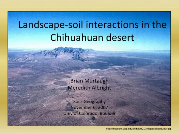 Landscape-soil interactions in the Chihuahuan desert
