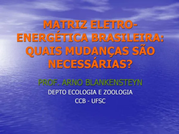 MATRIZ ELETRO-ENERG TICA BRASILEIRA: QUAIS MUDAN AS S O NECESS RIAS