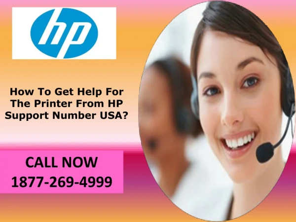 How To Get Help For The Printer From HP Support Number USA?