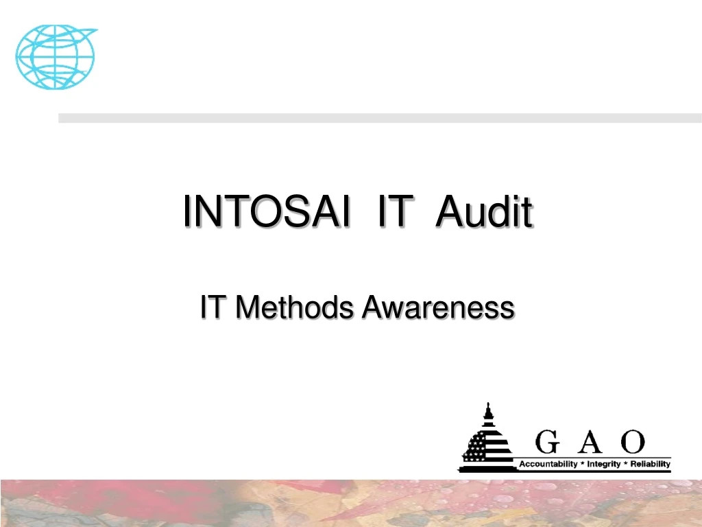 intosai it audit it methods awareness