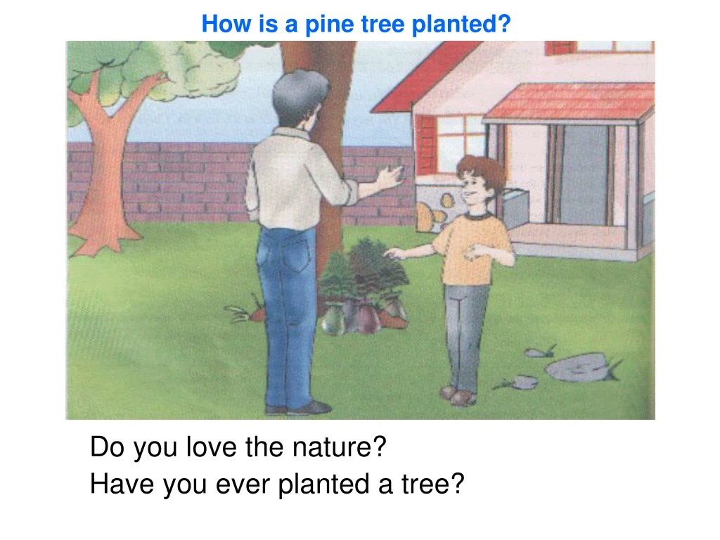 do you love the nature have you ever planted a tree