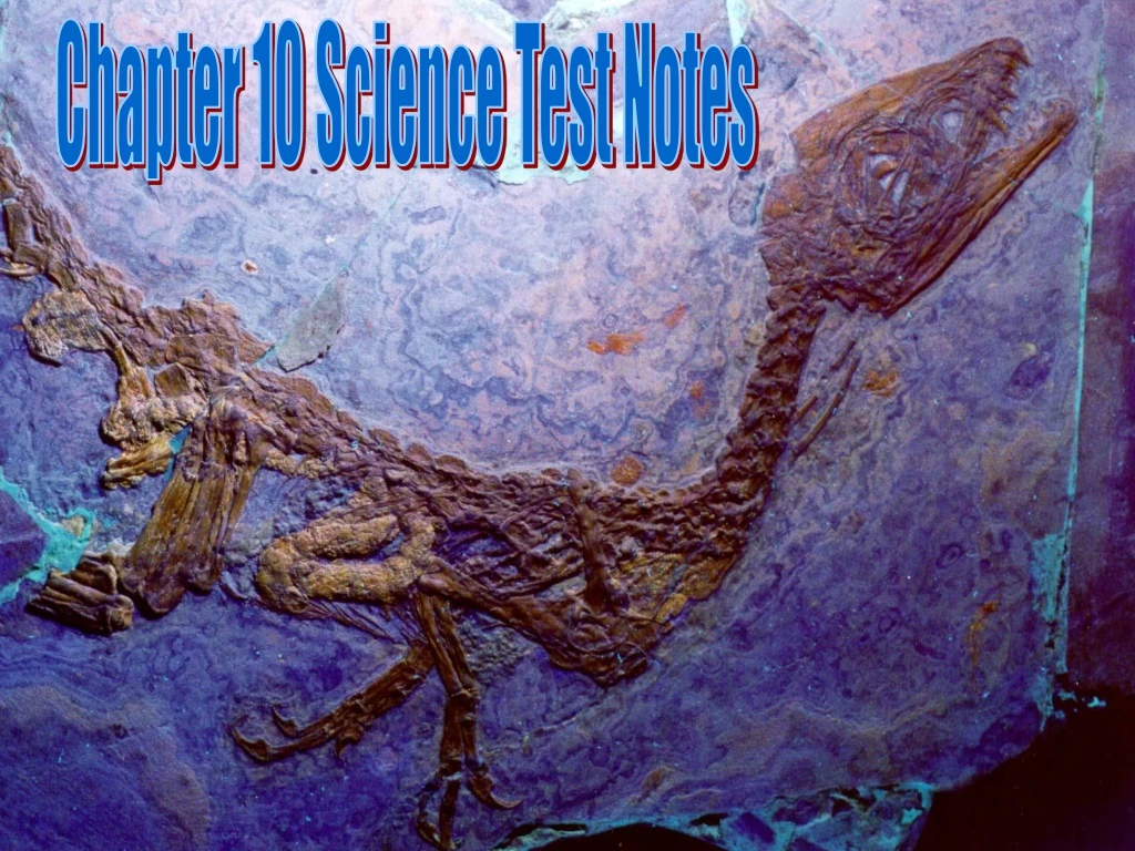 chapter 10 science test notes