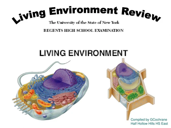 Living Environment Review