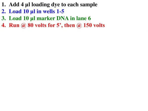 Add 4 µl loading dye to each sample Load 10 µl in wells 1-5 Load 10 µl marker DNA in lane 6