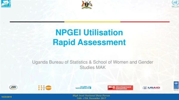 NPGEI Utilisation Rapid Assessment