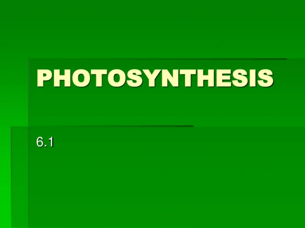 PHOTOSYNTHESIS