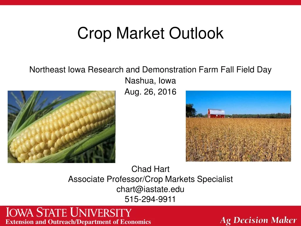 crop market outlook