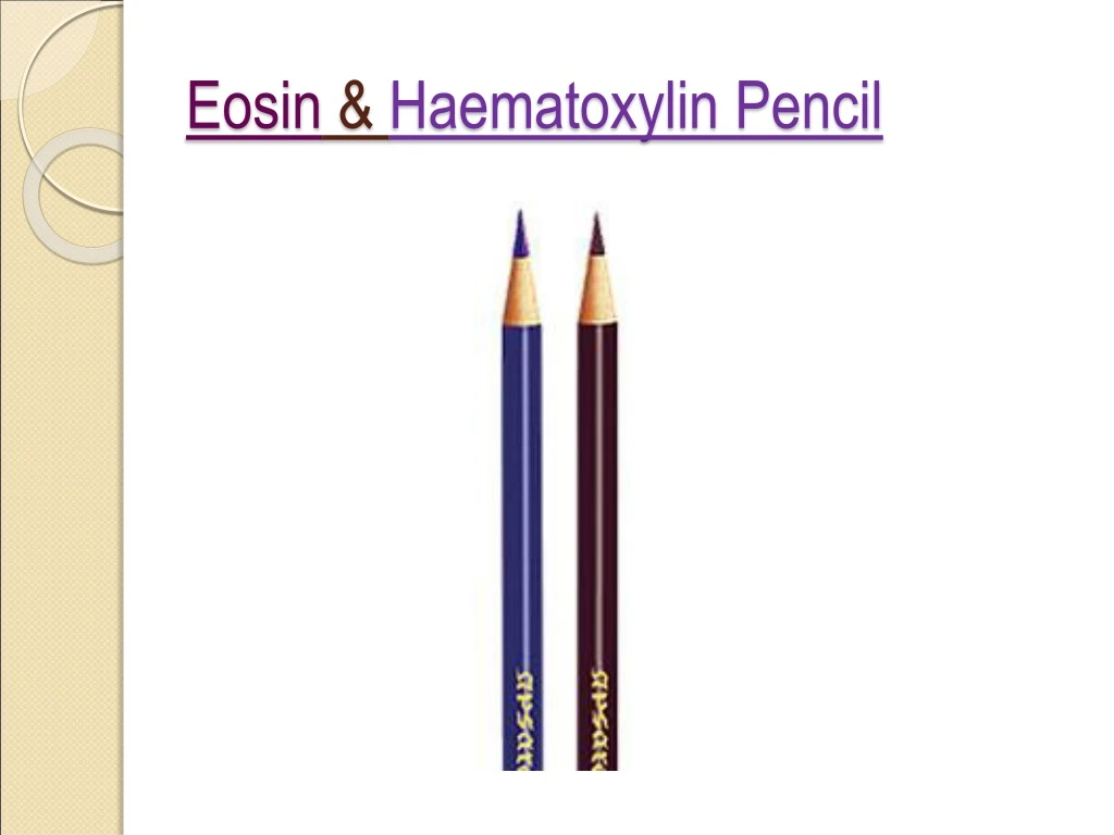 eosin haematoxylin pencil