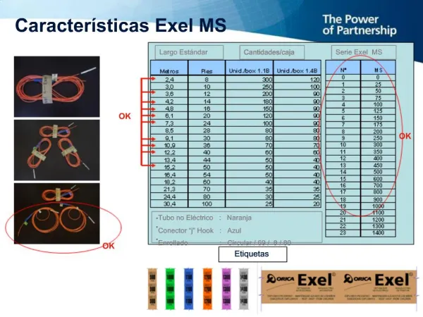 Caracter sticas Exel MS