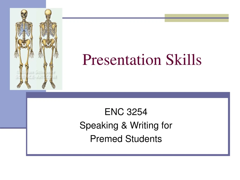 presentation skills