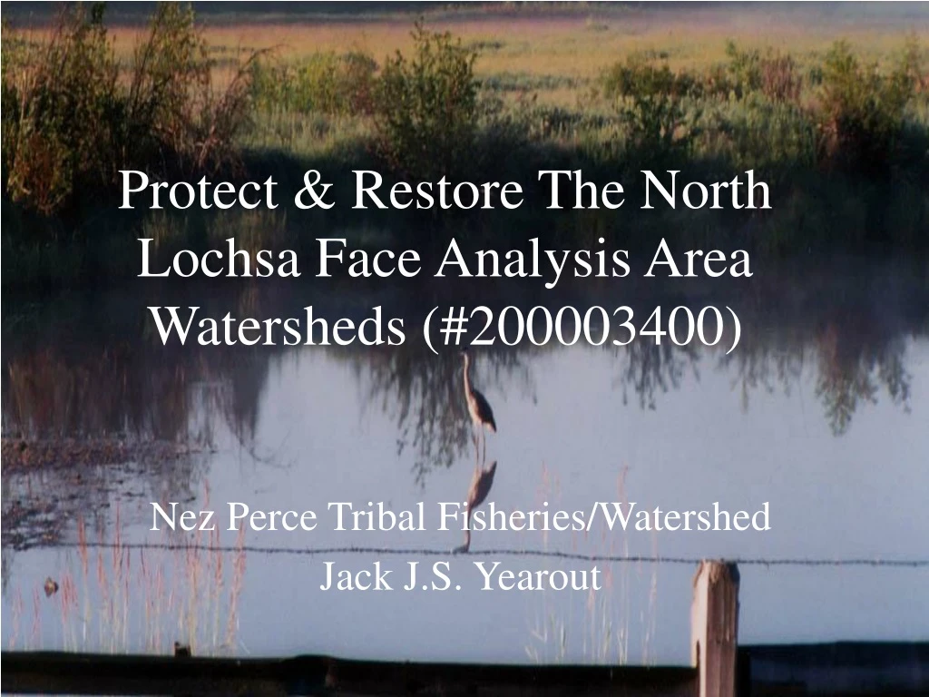protect restore the north lochsa face analysis area watersheds 200003400