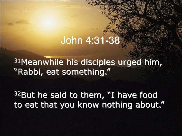 John 4:31-38