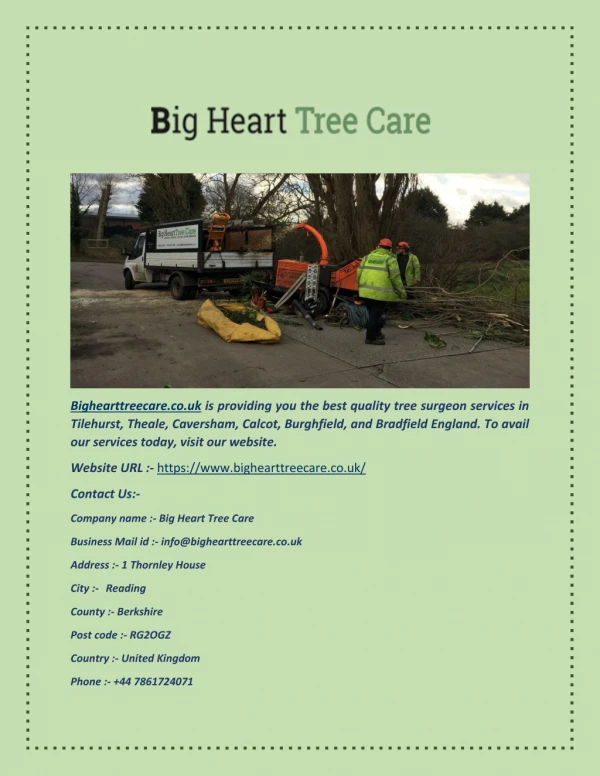 Tree Surgeon Reading - Bighearttreecare.co.uk