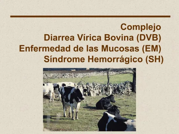 Complejo Diarrea V rica Bovina DVB Enfermedad de las Mucosas EM S ndrome Hemorr gico SH