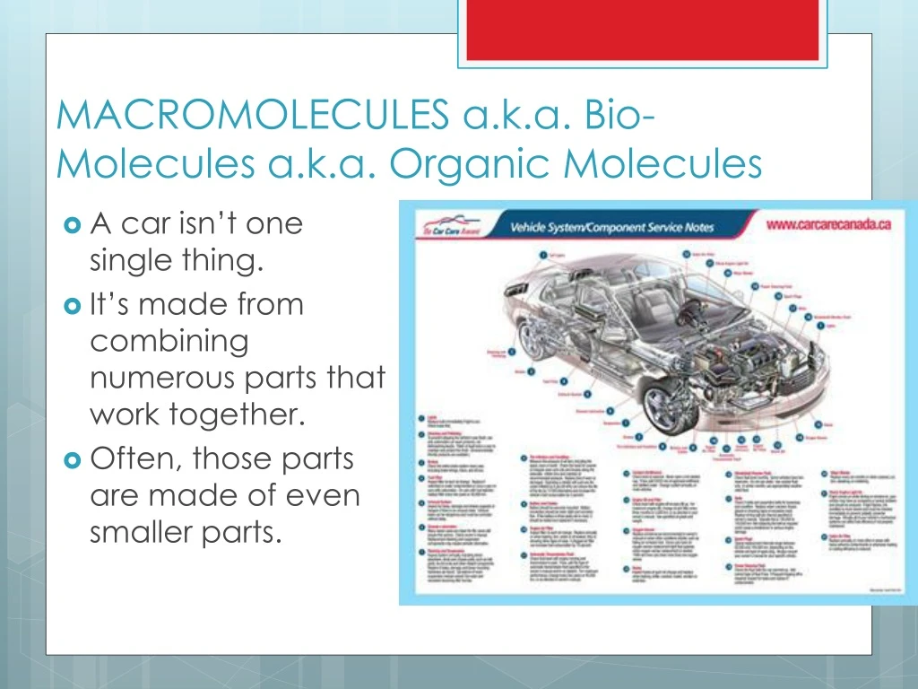 macromolecules a k a bio molecules a k a organic molecules