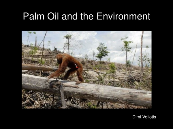 Palm Oil and the Environment