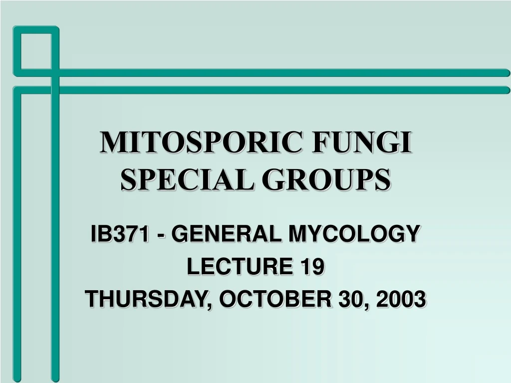 mitosporic fungi special groups