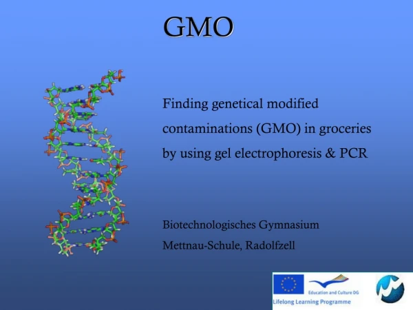 Finding genetical modified contaminations (GMO) in groceries by using gel electrophoresis &amp; PCR