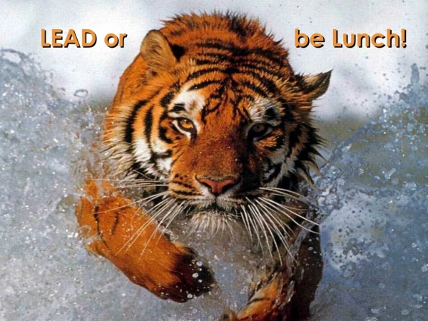 LEAD or be Lunch!