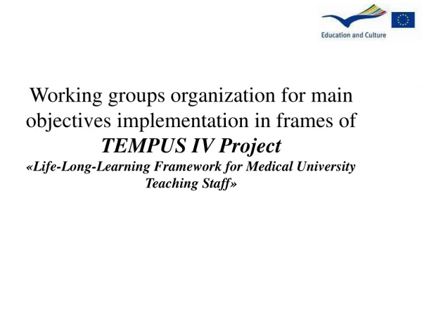 Working groups organization for main objectives implementation in frames of TEMPUS IV Project