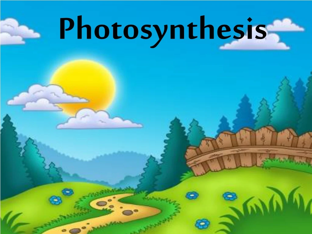 photosynthesis