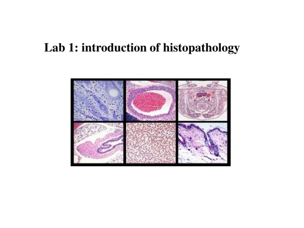 Lab 1: introduction of histopathology