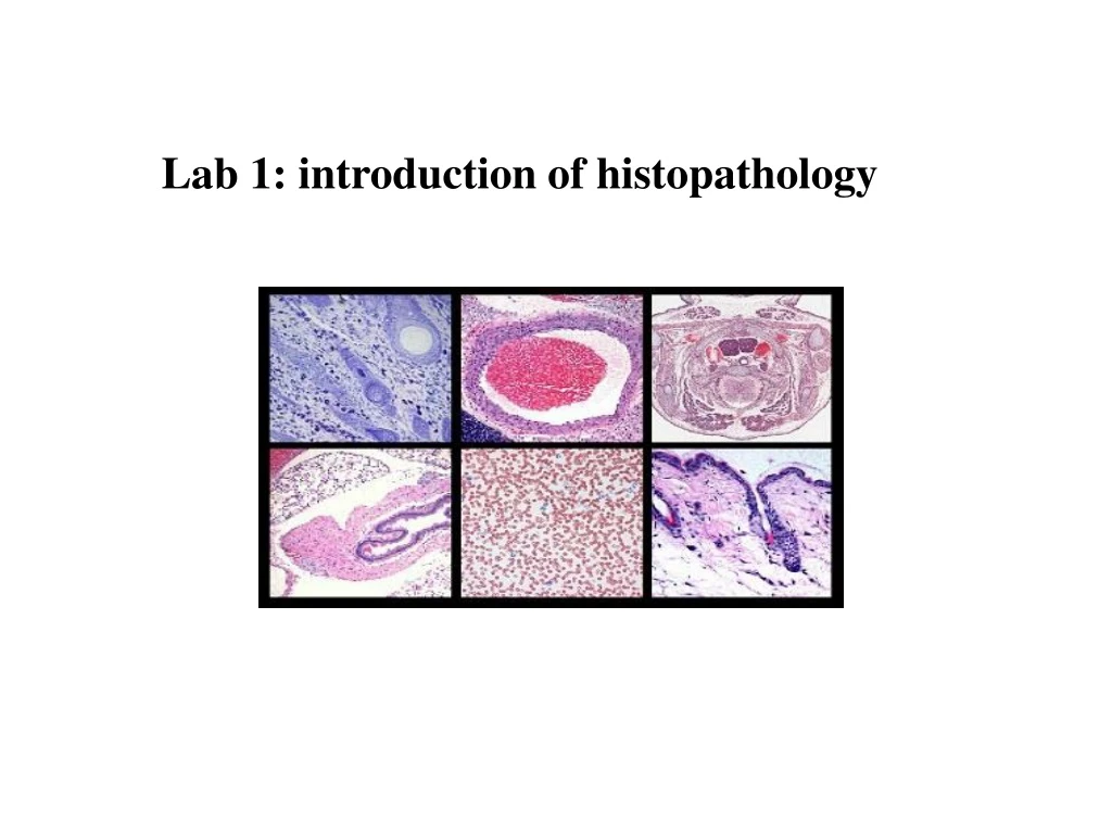 lab 1 introduction of histopathology