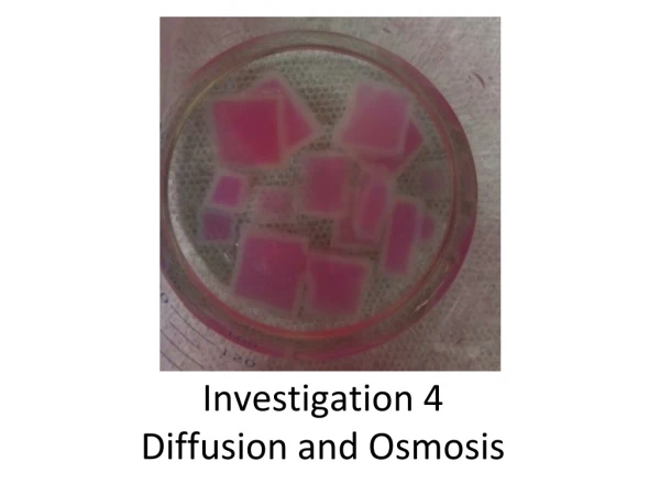 Investigation 4 Diffusion and Osmosis
