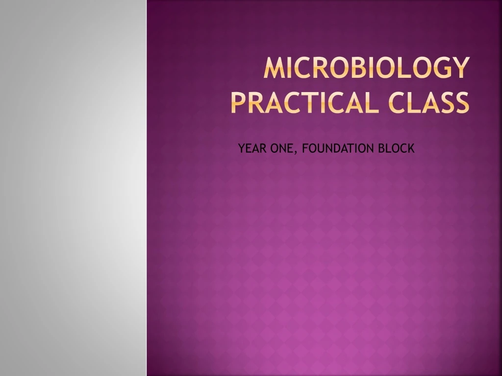 microbiology practical class