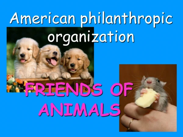 American philanthropic organization