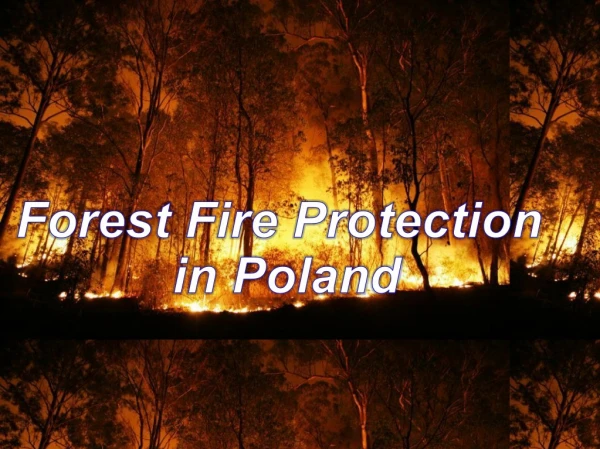 Forest Fire Protection in Poland