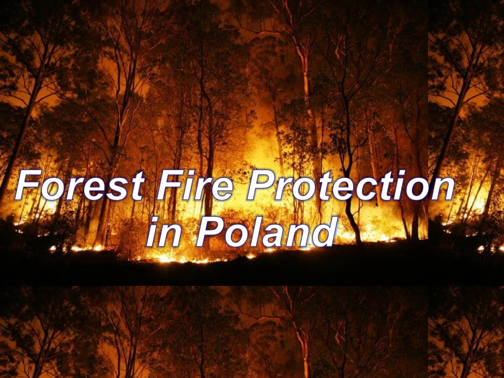 forest fire protection in poland