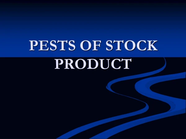 PESTS OF STOCK PRODUCT