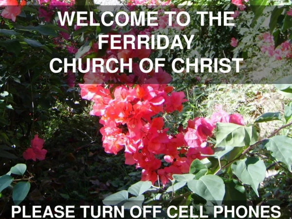 WELCOME TO THE FERRIDAY CHURCH OF CHRIST