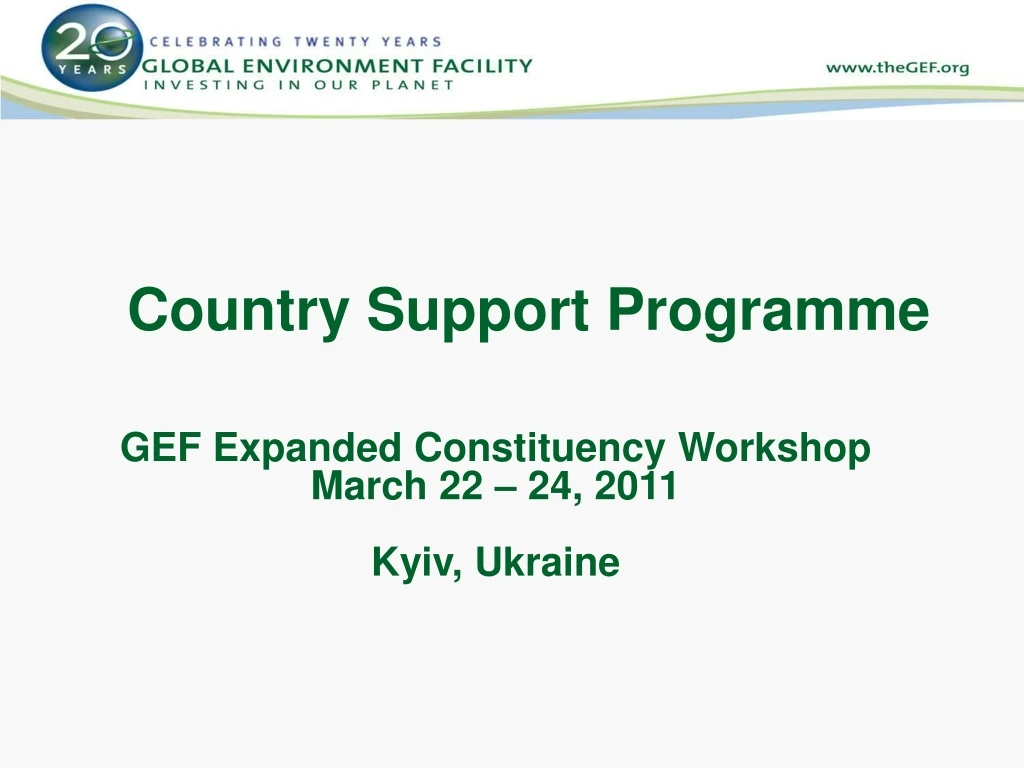 country support programme