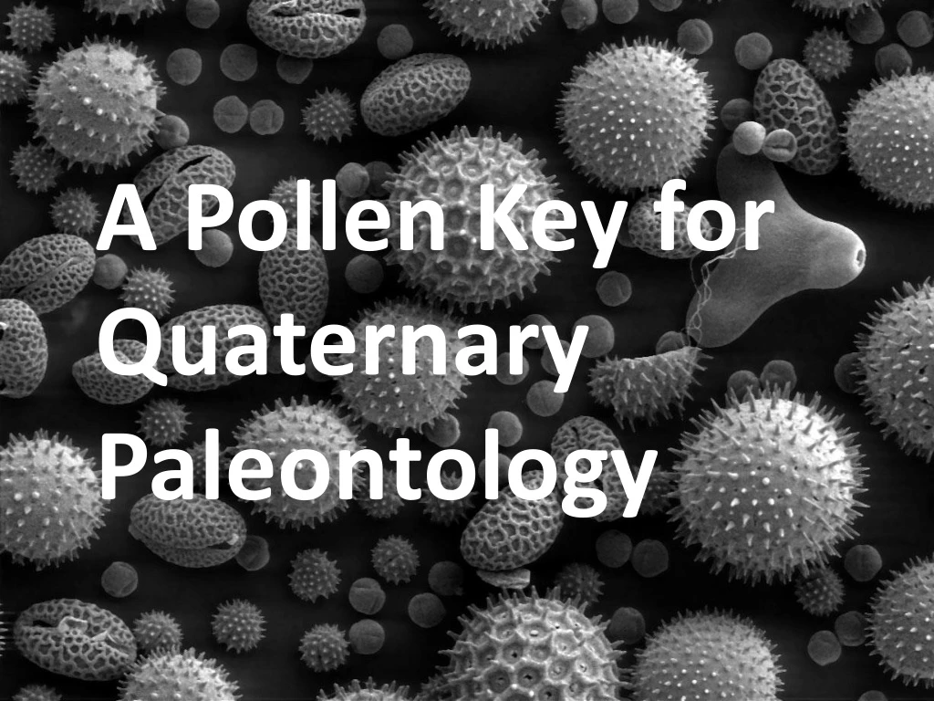 a pollen key for quaternary paleontology