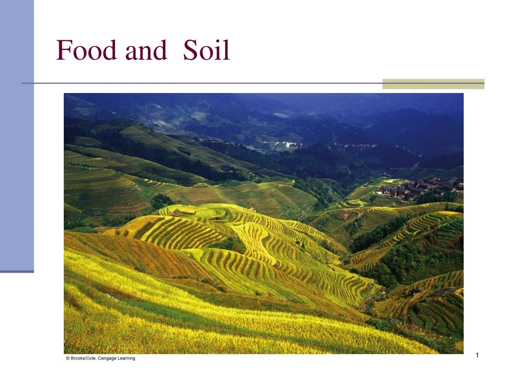 food and soil