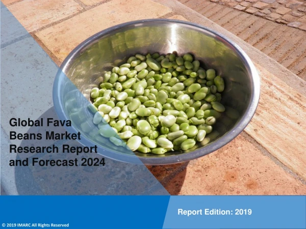 Fava Beans Market Report, Upcoming Trends, Demand, Regional Analysis and Forecast 2024